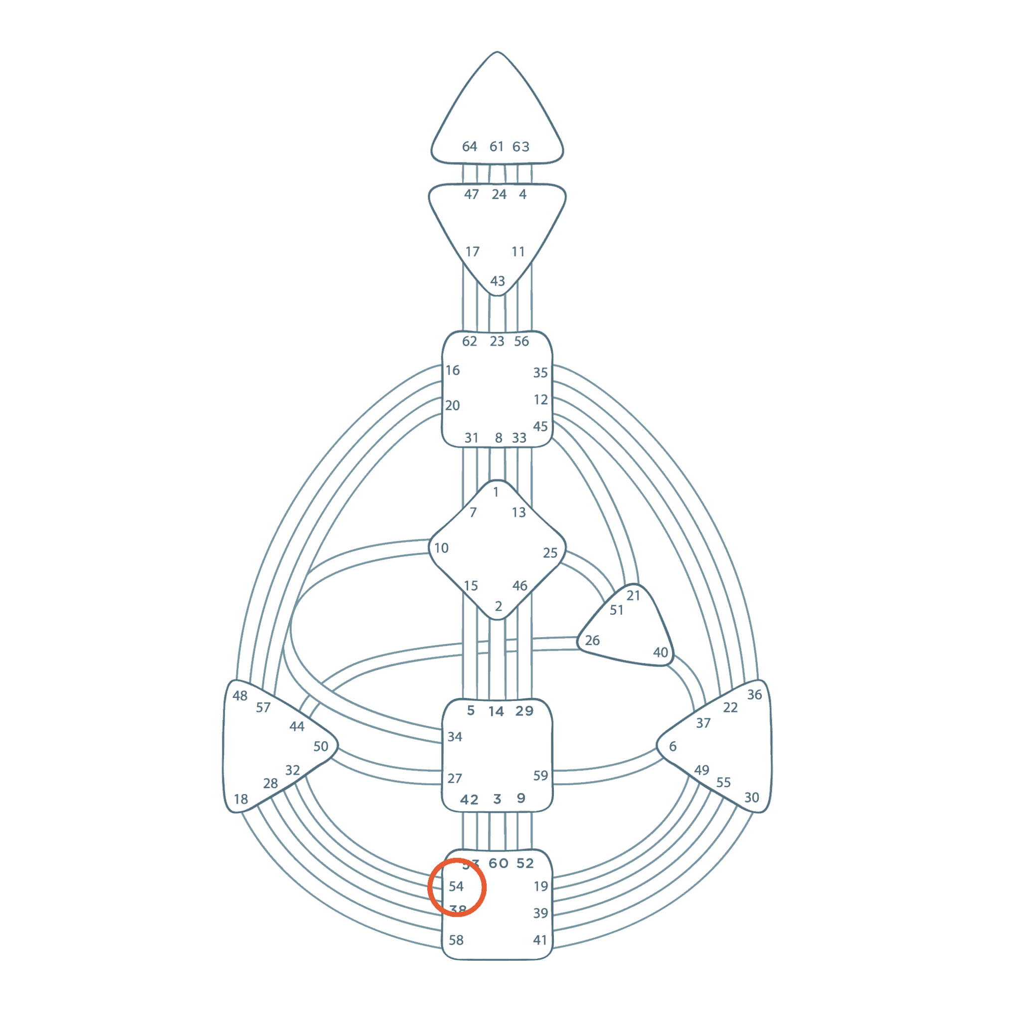 tor 54 Human Design Wien